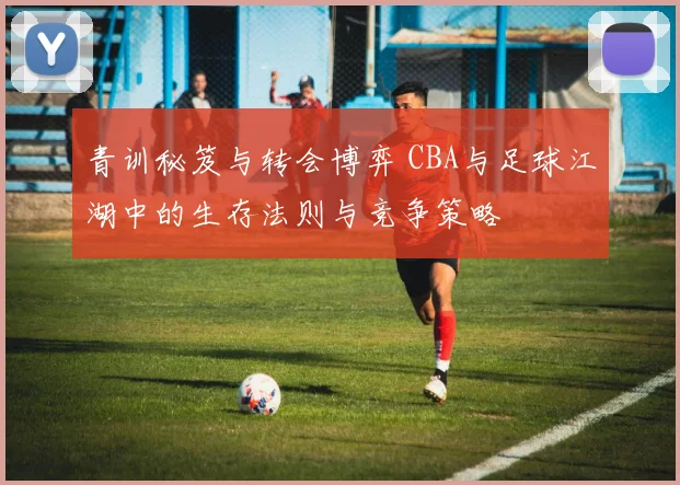 青训秘笈与转会博弈 CBA与足球江湖中的生存法则与竞争策略