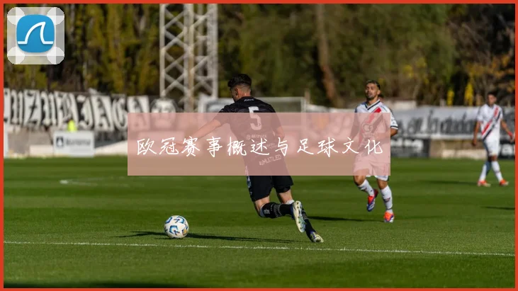 欧冠赛事概述与足球文化