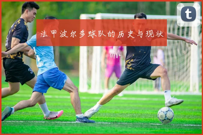 法甲波尔多球队的历史与现状