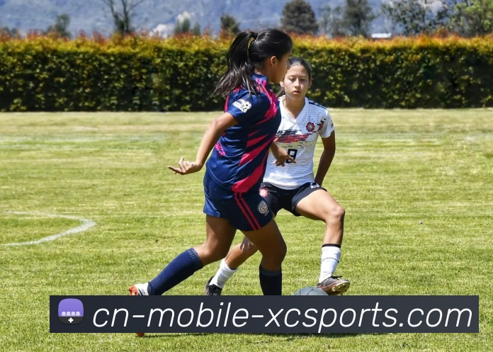 杏彩体育APP 封面图